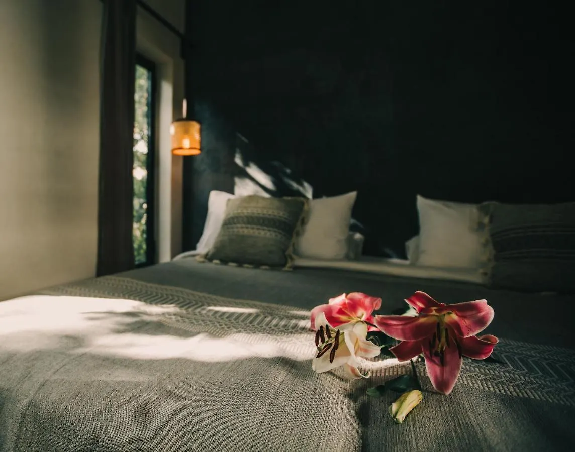 ****  Ambre & Epices Jungle Hotel & Spa Tulum Mexico
