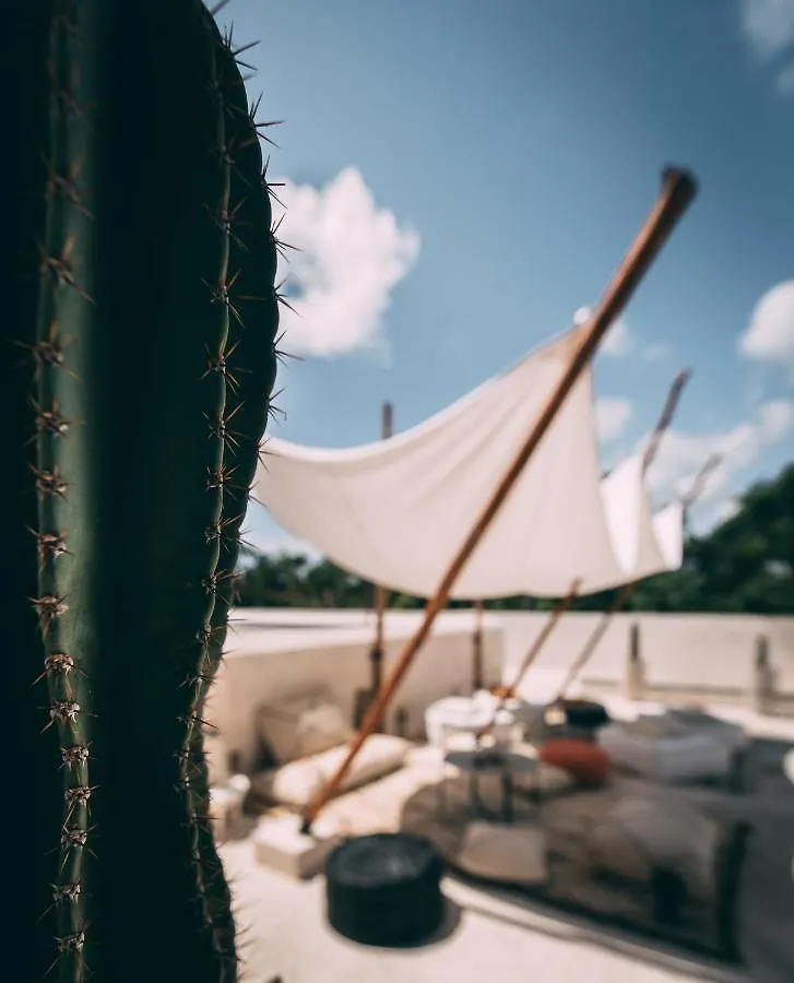 Ambre & Epices Jungle Hotel & Spa Tulum