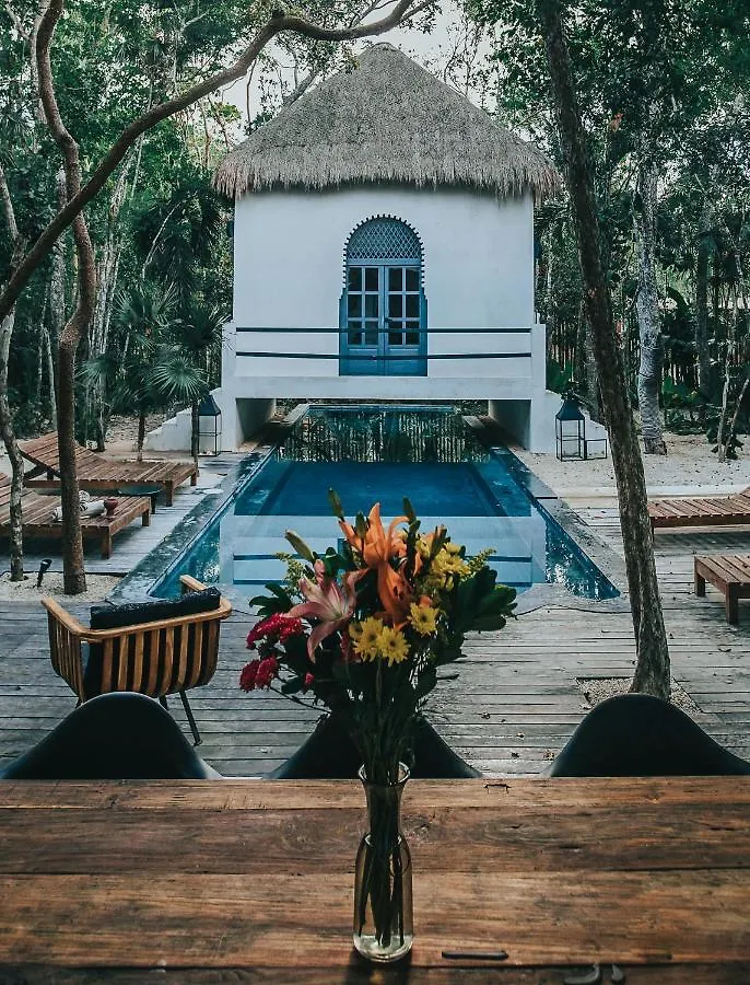 ****  Ambre & Epices Jungle Hotel & Spa Tulum Mexique