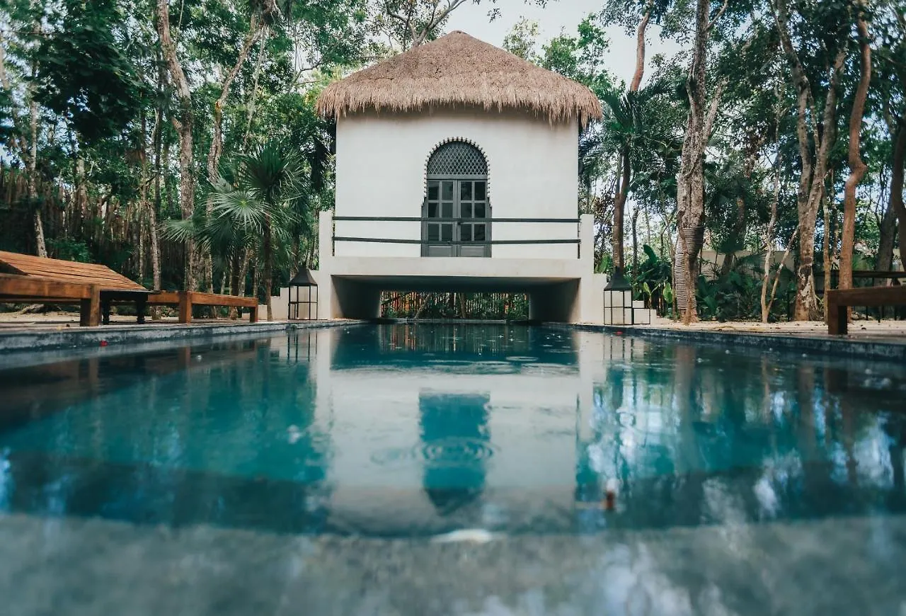 Ambre & Epices Jungle Hotel & Spa Tulum